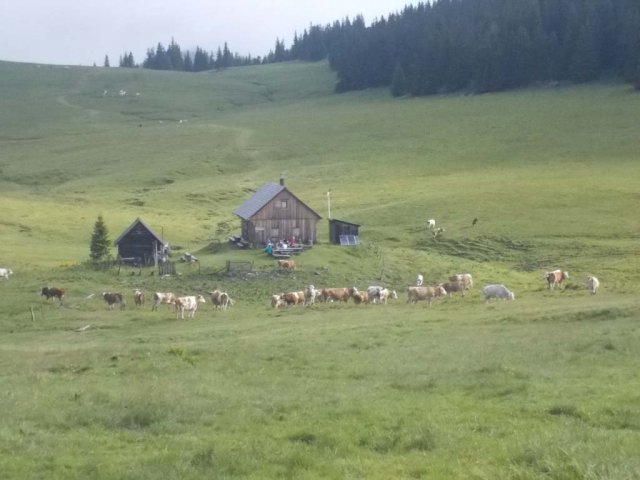 Mariazell 2013 149